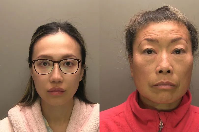 离谱! 只因一道篱笆墙 华裔母女被判入狱五年半! 邻居患上抑郁症!