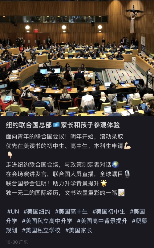 小红书批量生产“联合国名媛”:纽约总部演讲领奖(图)